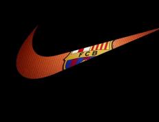 开云体育平台APP-那边掘金提前终结悬念，这边锡安惊艳四座，现代篮球的两种极致美学