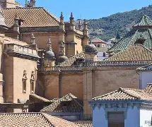 开云体育中国-格拉纳达未能止住颓势，需寻找突破口